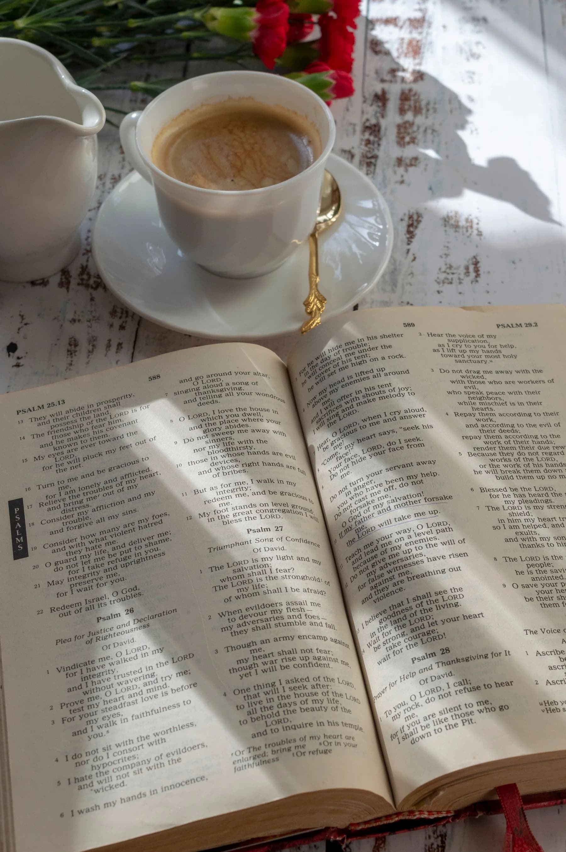 An open Bible in warm morning light